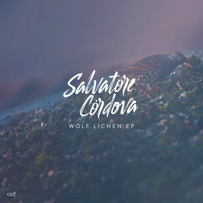SALVATORE CORDOVA - Wolf Lichen EP