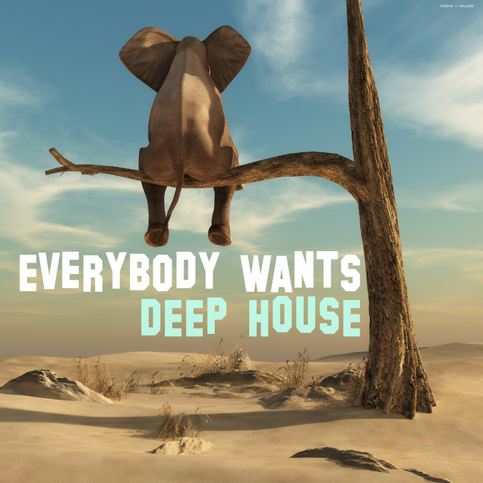 VARIOUS - Everybody Wants Deep House