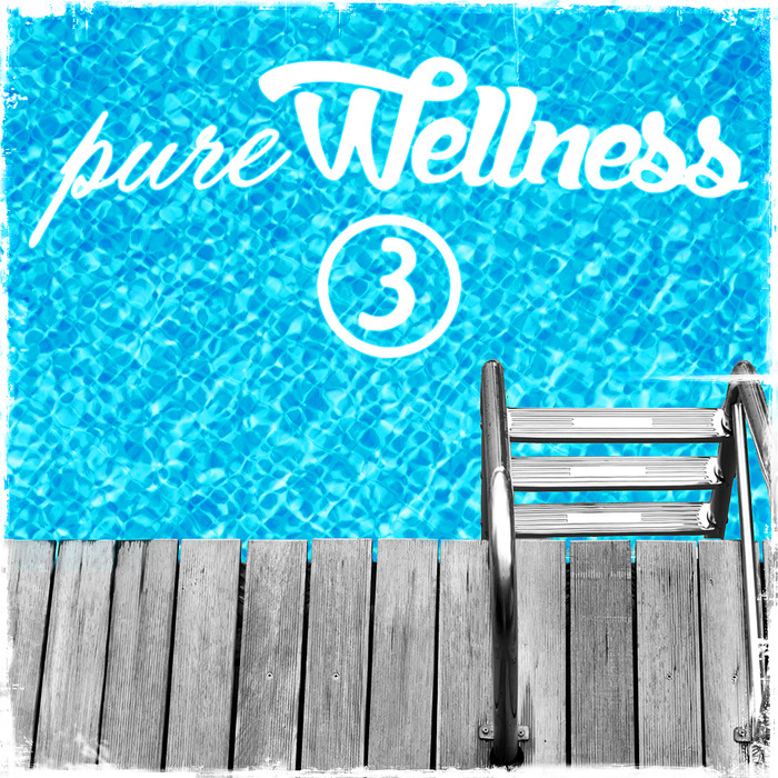 VARIOUS - Pure Wellness 3