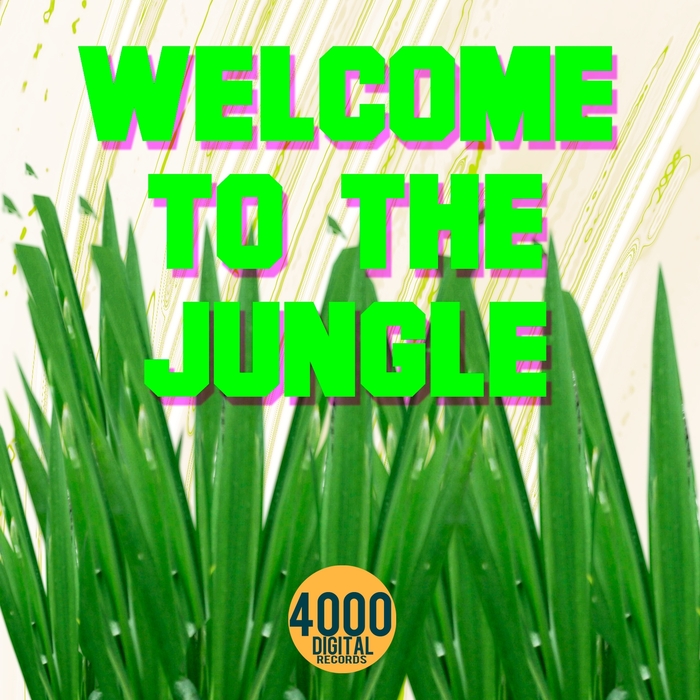 JASON'S AFRO HOUSE CONNECTION/BLIZZY GEM/POSITIVE FEELING/JENNY AND HER MICROHOUSE BAND/ - Welcome To The Jungle
