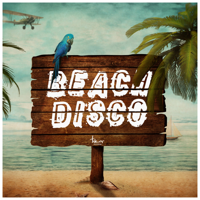 VARIOUS - Beach Disco