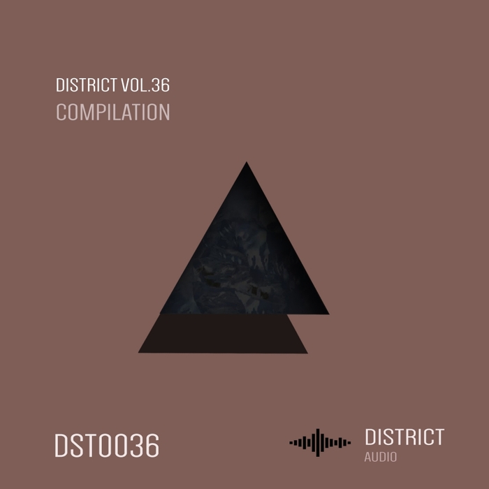 VARIOUS - District 36