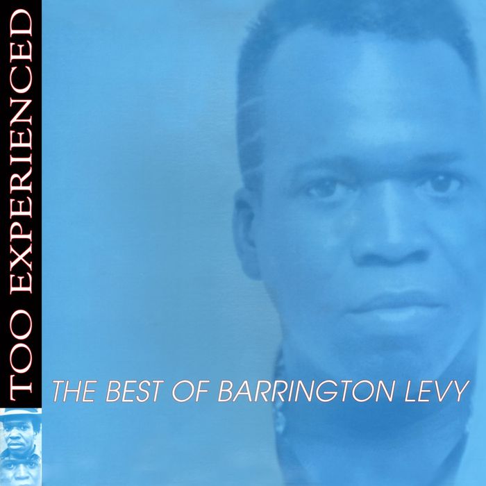 BARRINGTON LEVY - Too Experienced - The Best Of Barrington Levy