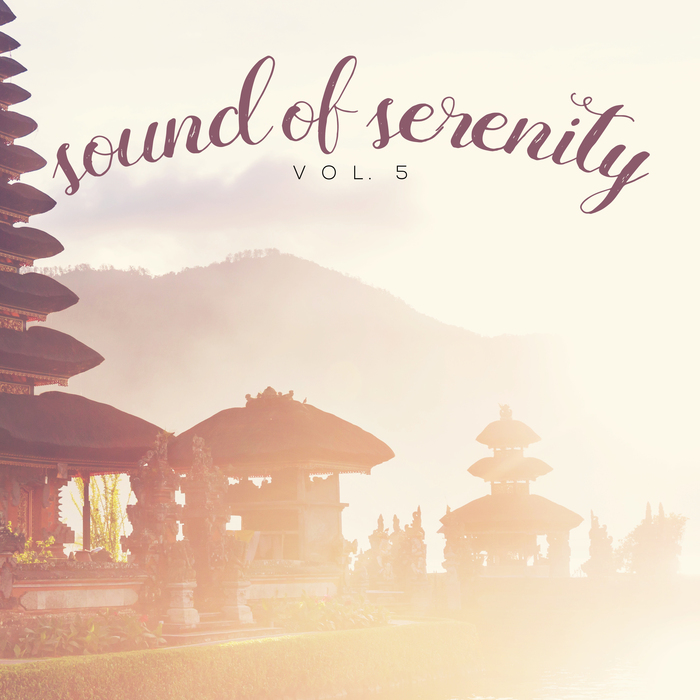 VARIOUS/OCEAN MIND - Sound Of Serenity Vol 5