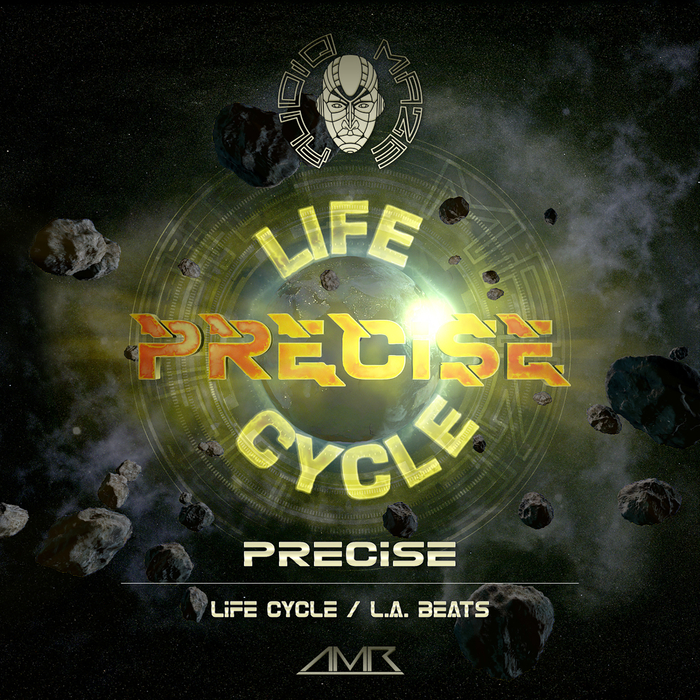 PRECISE - Life Cycle