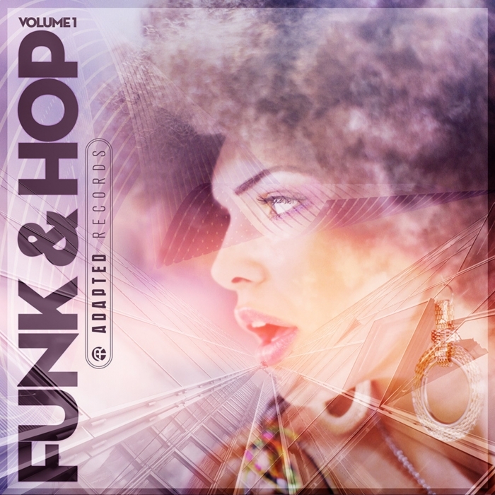 VARIOUS - Funk & Hop - Volume 1