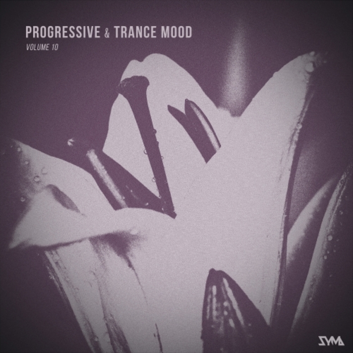 VARIOUS - Progressive & Trance Mood Vol 10