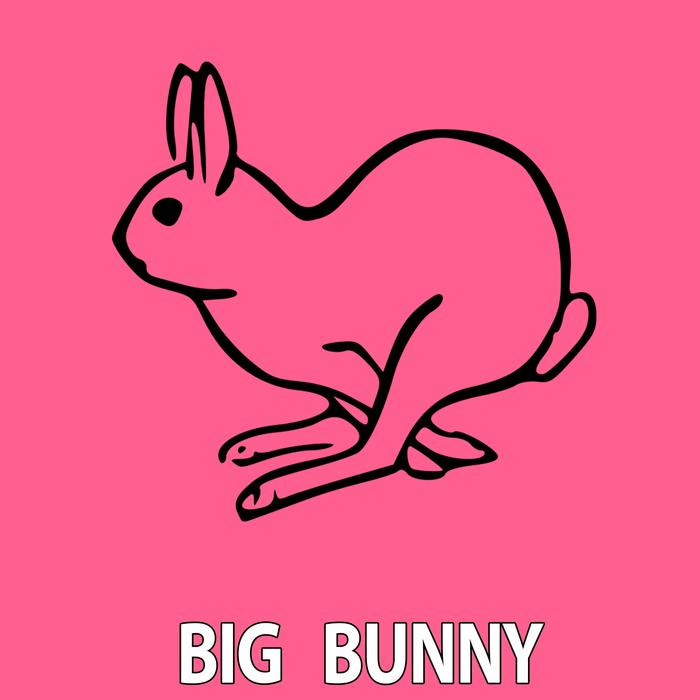 BIG BUNNY/21 ROOM/BUNNY HOUSE - Discussion