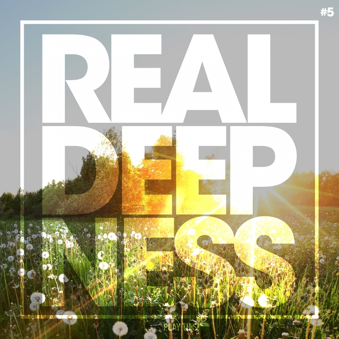 VARIOUS - Real Deepness #5