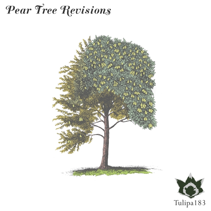 VARIOUS - Pear Tree Revisions