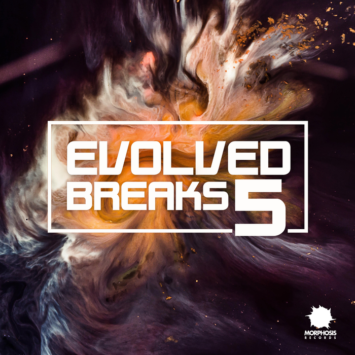 VARIOUS - Evolved Breaks 5