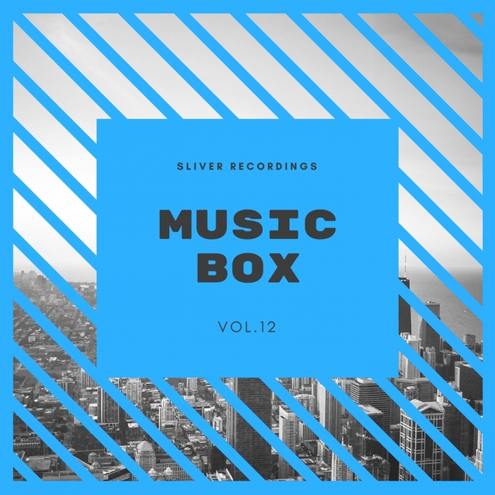 VARIOUS - SLiVER Recordings: Music Box Vol 12