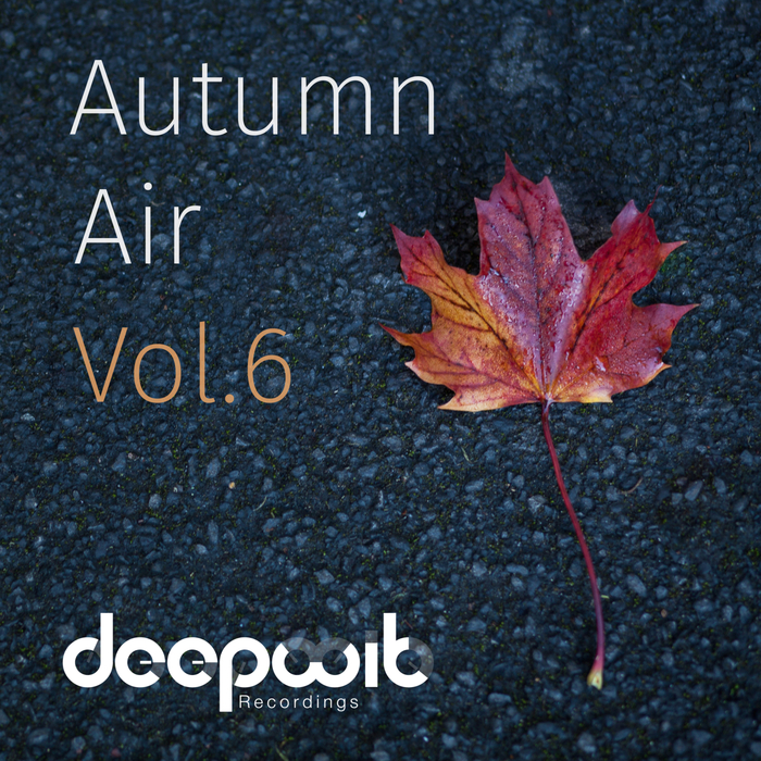 VARIOUS - Autumn Air Vol 6