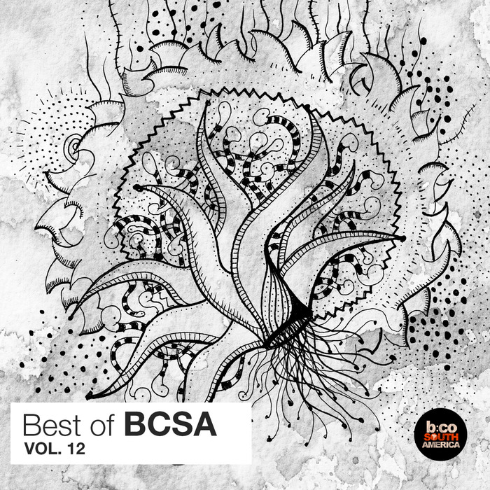 VARIOUS - Best Of BCSA Vol 12