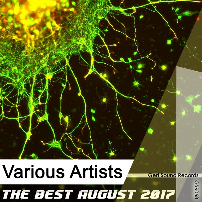 VARIOUS - The Best August 2017