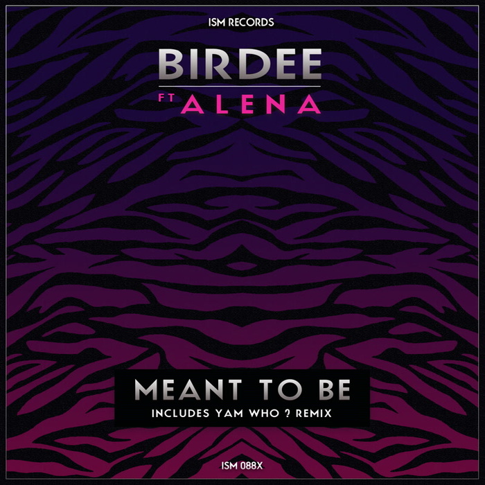 BIRDEE feat ALENA - Meant To Be
