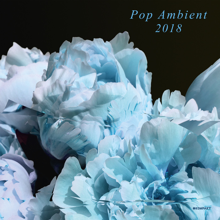 VARIOUS - Pop Ambient 2018