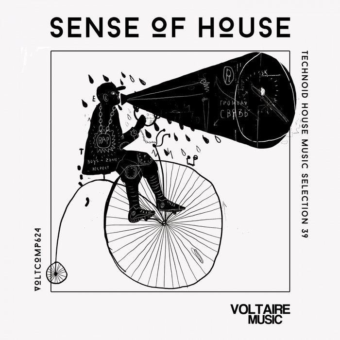 VARIOUS - Sense Of House Vol 39