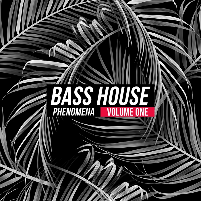 VARIOUS - Bass House Phenomena Vol 1