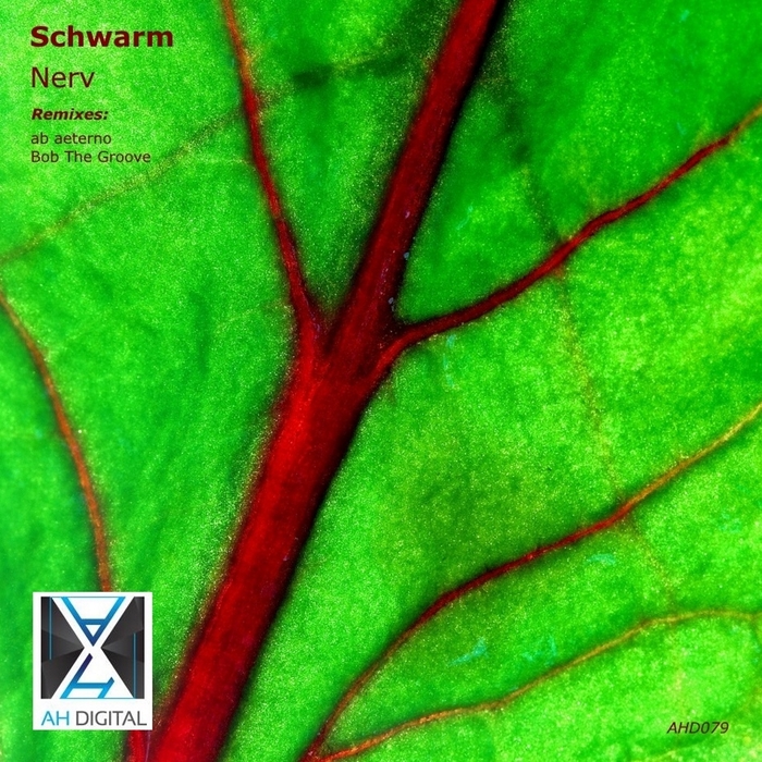 SCHWARM - Nerv