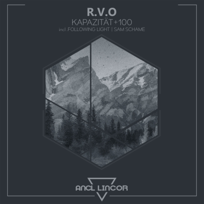 RVO - Kapazitat+100