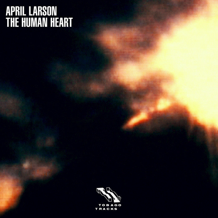 April Larson - The Human Heart