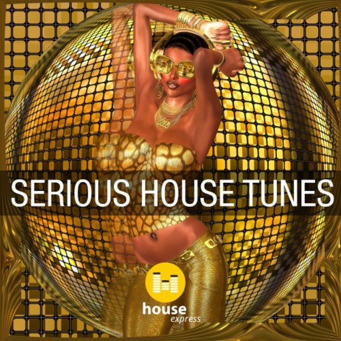 VARIOUS - Serious House Tunes