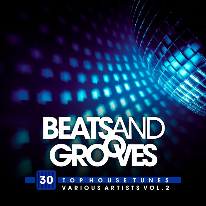 VARIOUS - Beats And Grooves (30 Top House Tunes) Vol 2