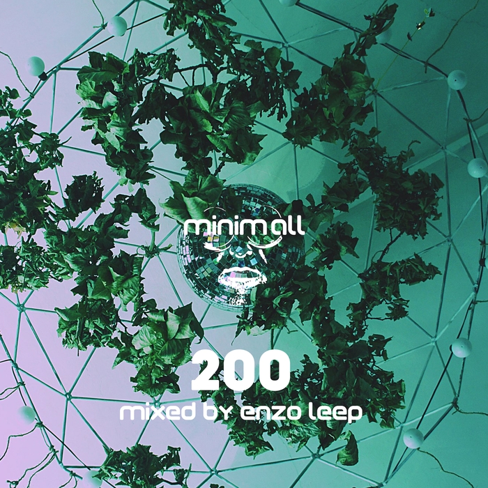 ENZO LEEP/VARIOUS - Minim.all 200 (unmixed Tracks)