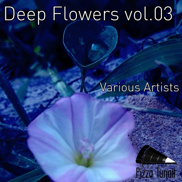 JOE LUKKETTI/STEVE MORO/IONO KLAFER/SEAMLESS/HADIID/TELL ME ABOUT YOUR MOTHER - Deep Flowers Vol 03