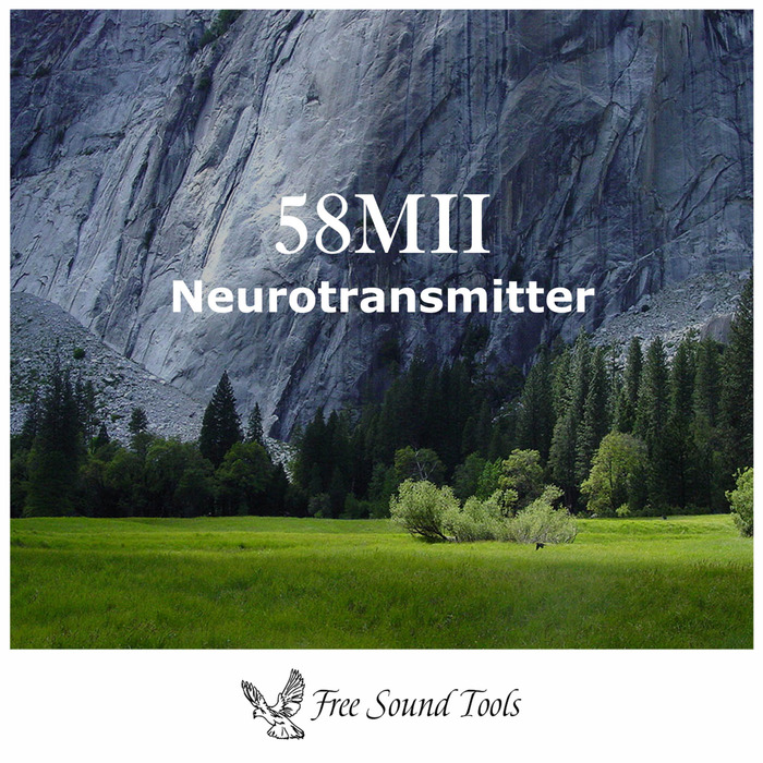 58MII - Neurotransmitter