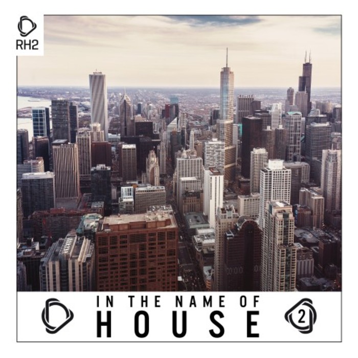 VARIOUS - In The Name Of House Vol 2