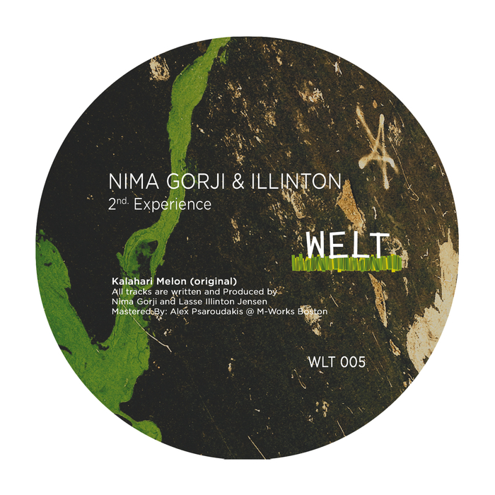 NIMA GORJI/ILLINTON - 2nd Experience