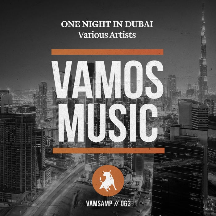 VARIOUS - One Night In Dubai