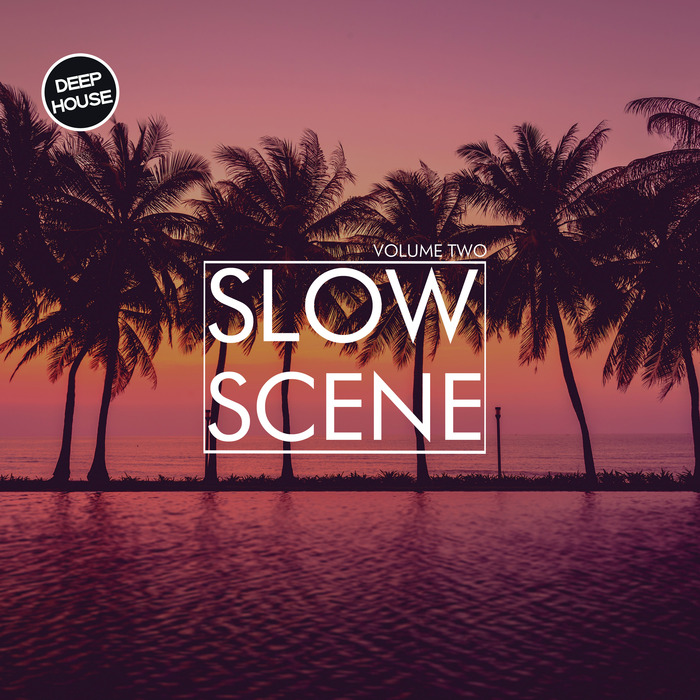 VARIOUS - Slow Scene Vol 2