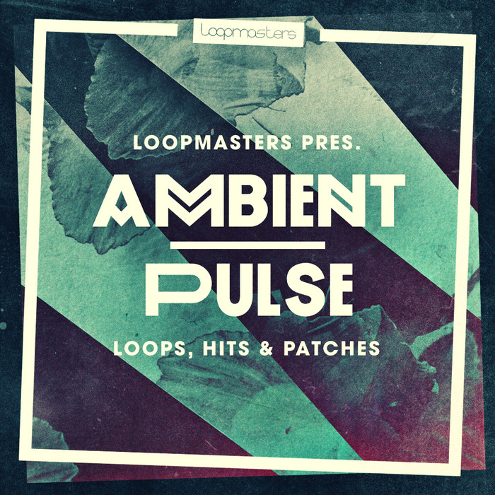 LOOPMASTERS - Ambient Pulse (Sample Pack WAV/APPLE/LIVE/REASON)