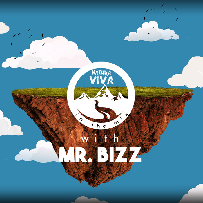 VARIOUS - Natura Viva In The Mix With Mr Bizz (unmixed Tracks)