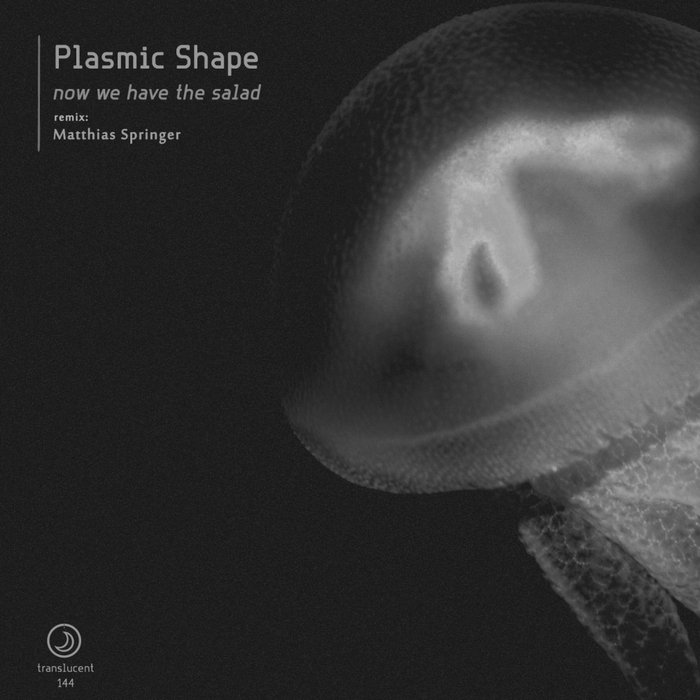 PLASMIC SHAPE - Now We Have The Salad