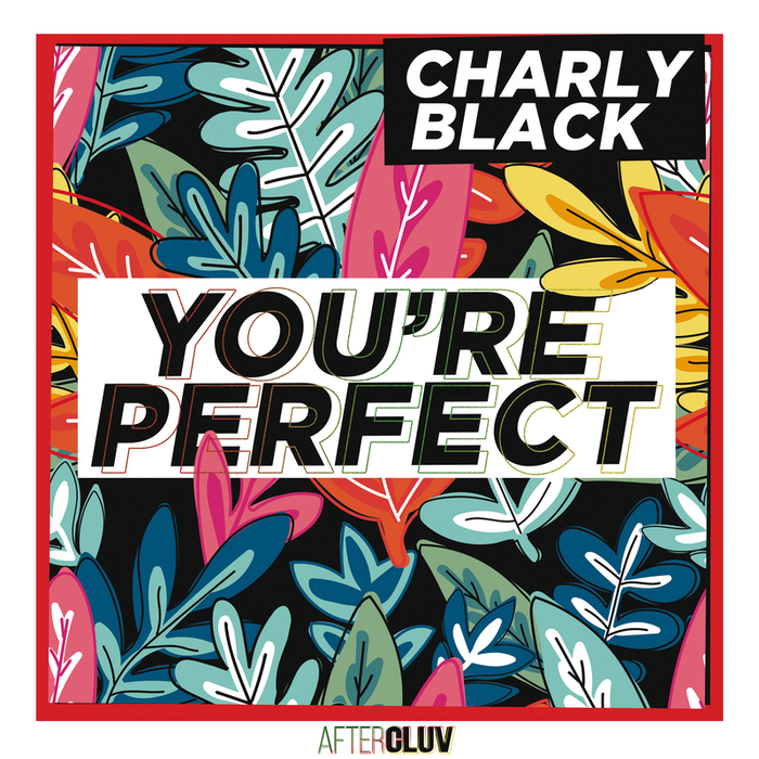 charly black you re perfect mp3 song download