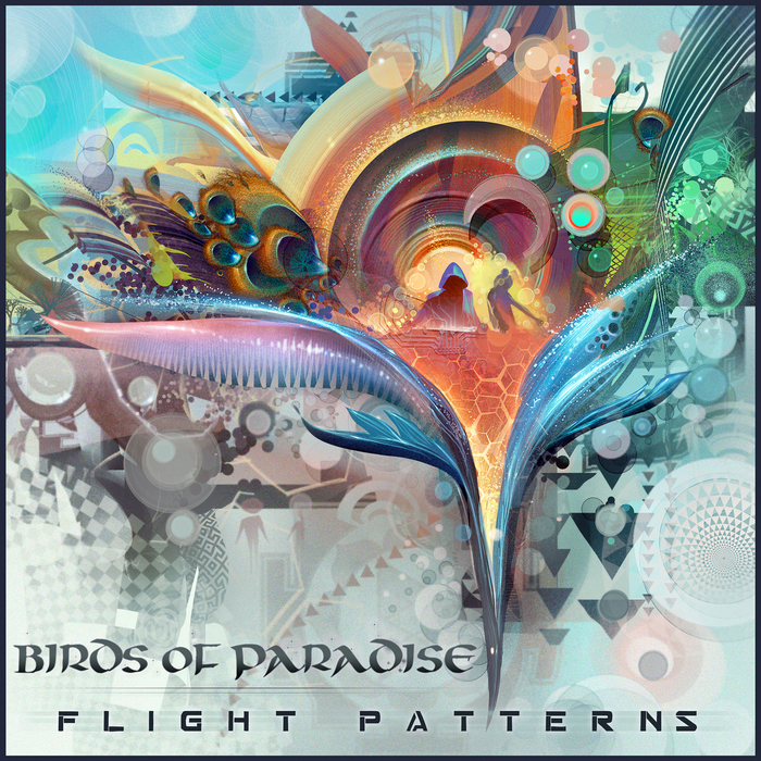 BIRDS OF PARADISE - Flight Patterns