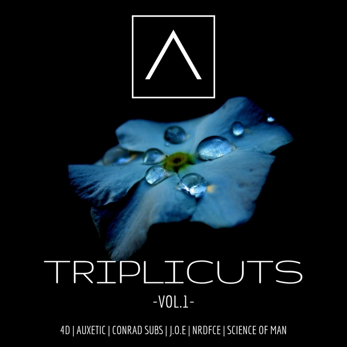 VARIOUS - Triplicuts Vol 1