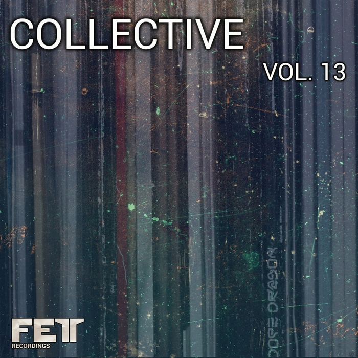VARIOUS - Collective Vol 13