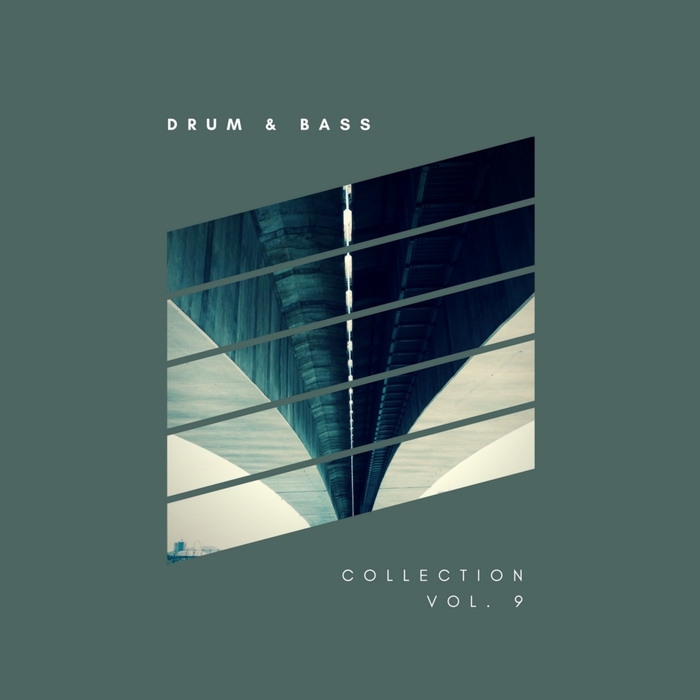 VARIOUS - Sliver Recordings: Drum & Bass Collection Vol 9