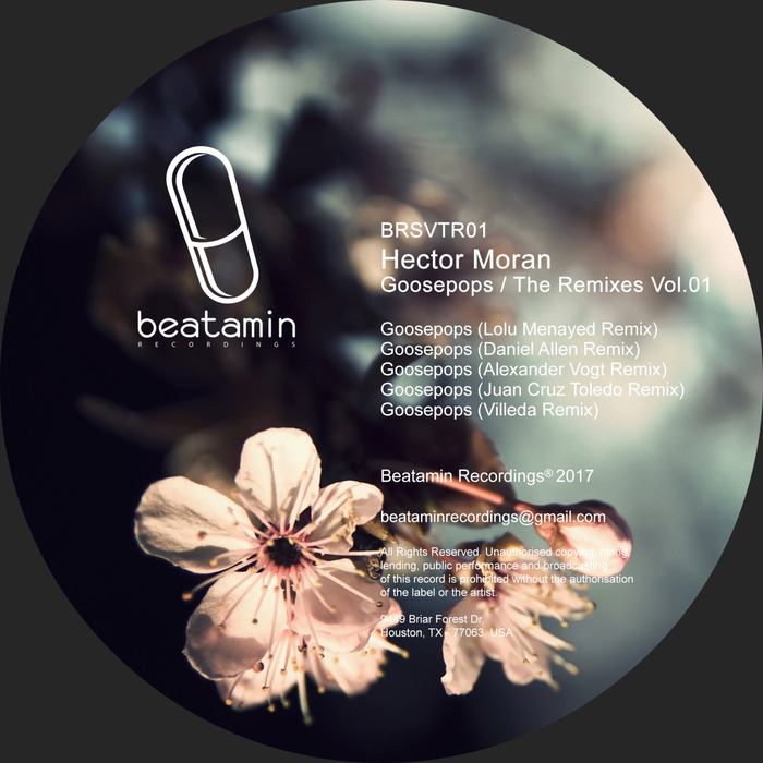 HECTOR MORAN - GOOSEPOPS The Remixes 01