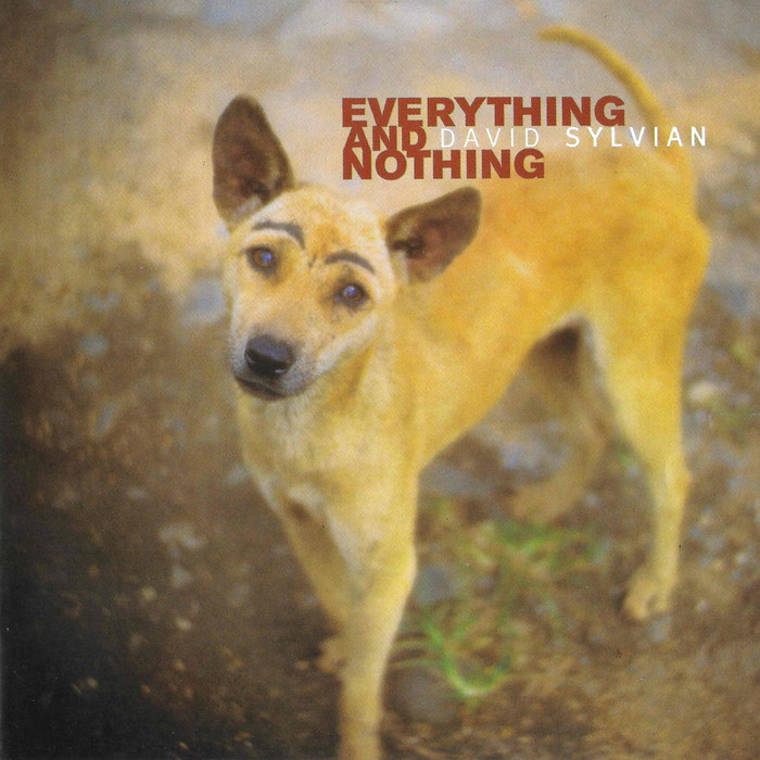 DAVID SYLVIAN/VARIOUS - Everything & Nothing