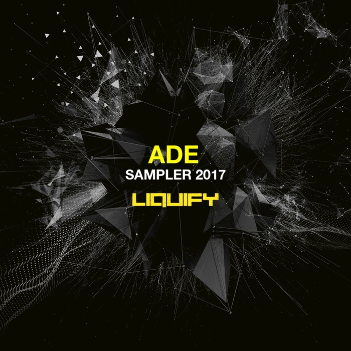 VARIOUS - Liquify ADE Sampler 2017