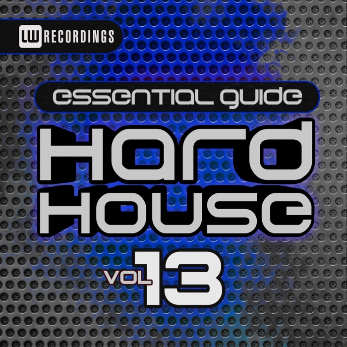 VARIOUS - Essential Guide Hard House Vol 13