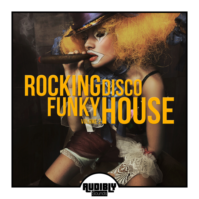 VARIOUS - Rocking Funky Disco House Vol 2