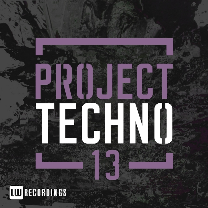 VARIOUS - Project Techno Vol 13