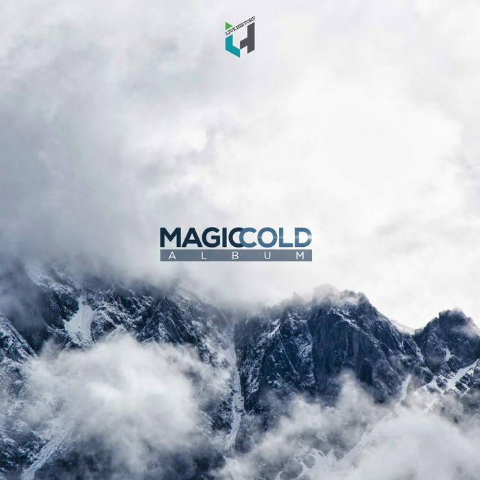 VARIOUS - Magic Cold Album